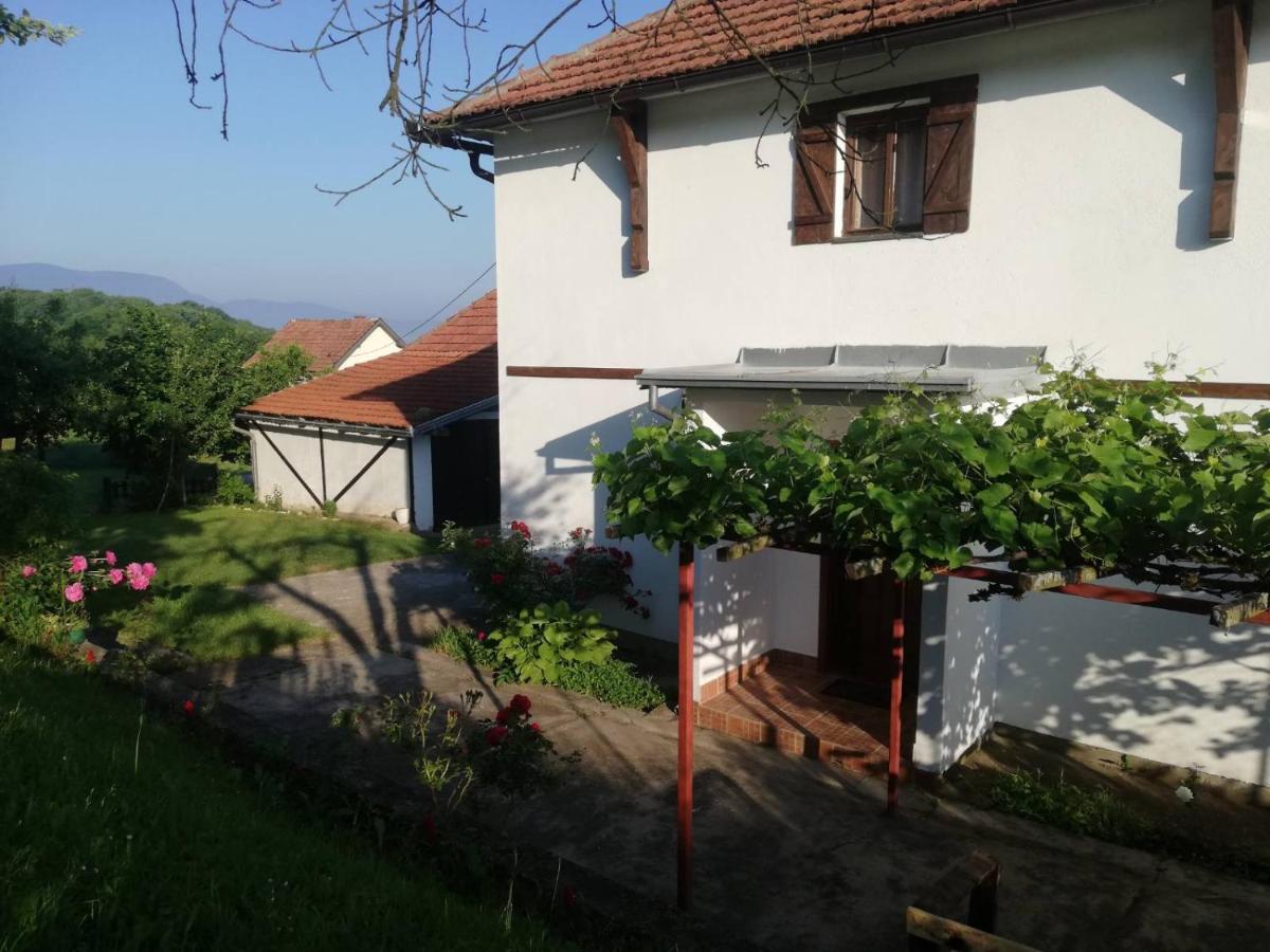 Villa Vikendica I Vajat Vrbica à Kalesija Extérieur photo